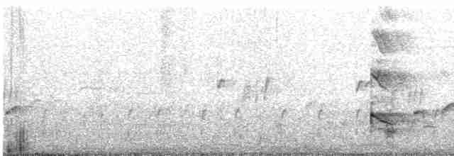 אנפית ירוקה - ML619156276