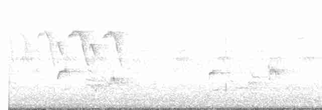drozdec černohlavý - ML619156488