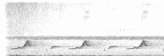 Schwarzkehl-Nachtschwalbe - ML619156520
