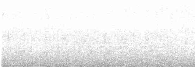 svartbrystparula - ML619157213
