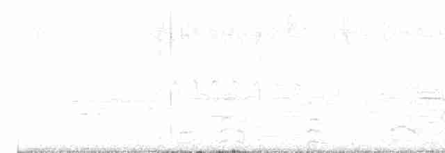 Common Gallinule - ML619157859
