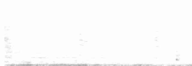 Пугач блідий - ML619157880