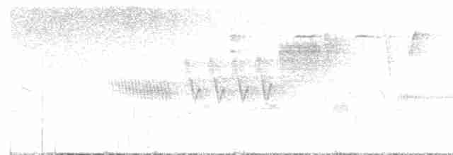 Cerulean Warbler - ML619158425