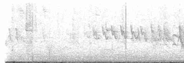 Vireo de Bell (pusillus) - ML619158714