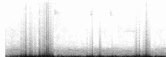 Paruline à gorge noire - ML619158759