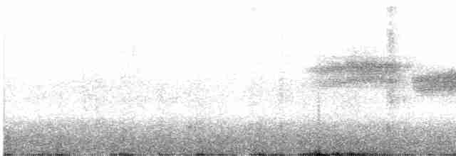Paruline à gorge noire - ML619158762