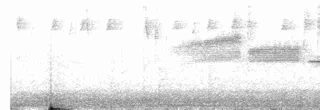 Paruline à gorge noire - ML619158763