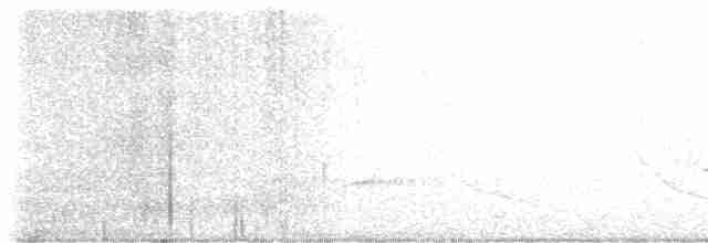 Cerulean Warbler - ML619159138