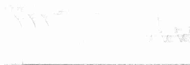 Cerulean Warbler - ML619159299