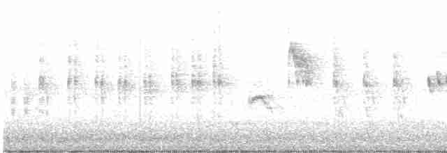 Black-browed Reed Warbler - ML619159611