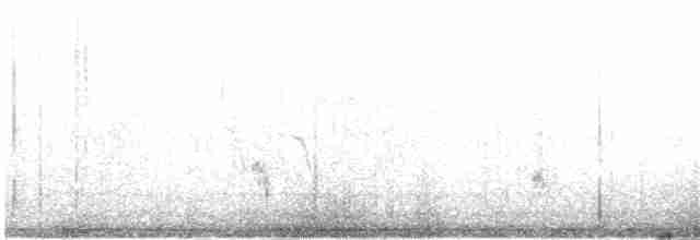 צחיחן שחור-כיפה - ML619159753