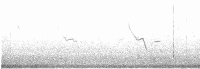 צחיחן שחור-כיפה - ML619159894