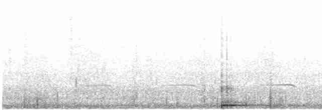 Alondra Ibis (boavistae) - ML619159906