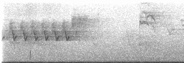 Cerulean Warbler - ML619160098