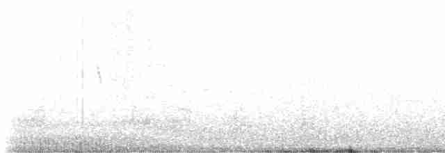 Бруант чорнобровий - ML619160104