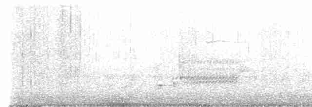 Common Yellowthroat - ML619160155