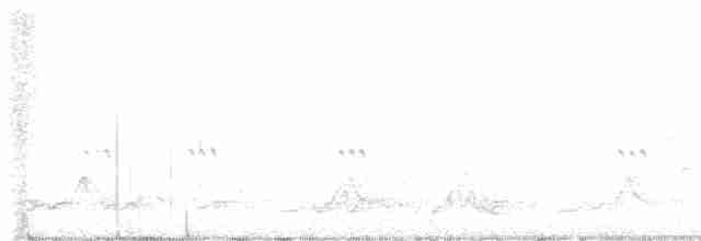Carolinanachtschwalbe - ML619160158