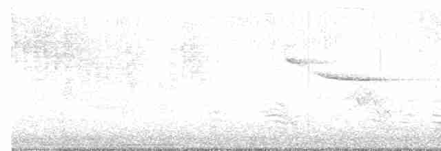 Sarı Karınlı Sinekkapan - ML619160199