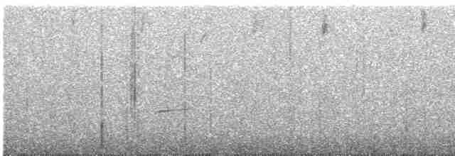 Дрізд-короткодзьоб Cвенсона - ML619160226