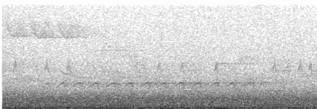 "Шишкар ялиновий (Northeastern, або тип 12)" - ML619160249
