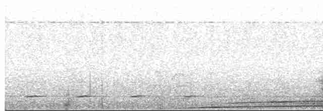 Chevêchette brune - ML619160254