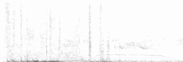 Чернокрылая пиранга - ML619160386