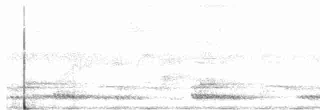 White-cheeked Barbet - ML619162115