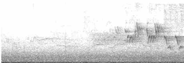 svartbrystparula - ML619162321