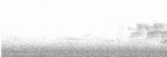 Черногорлая хвойница - ML619162323