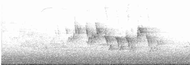 Черногорлая хвойница - ML619162324