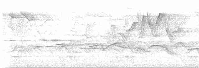 Gray-hooded Warbler - ML619162700