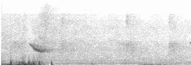 Бурый соловьиный дрозд - ML619163334