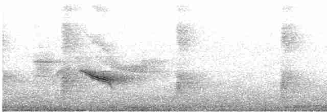 Дрізд-короткодзьоб бурий - ML619163335