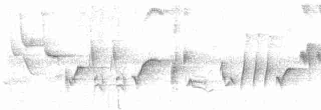 Oriole des vergers - ML619163746
