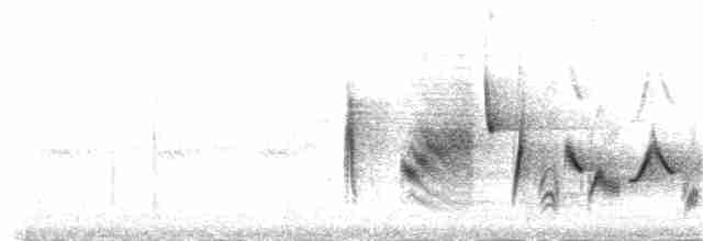 Vireo Ojiblanco - ML61916401