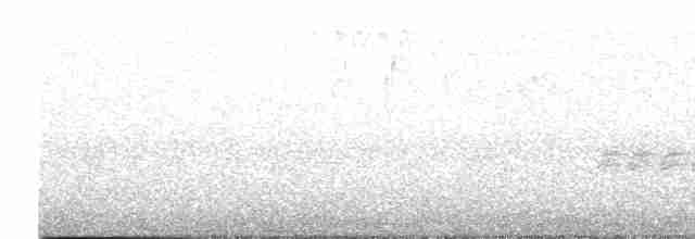 Busardo Negro (anthracinus/utilensis) - ML619164090