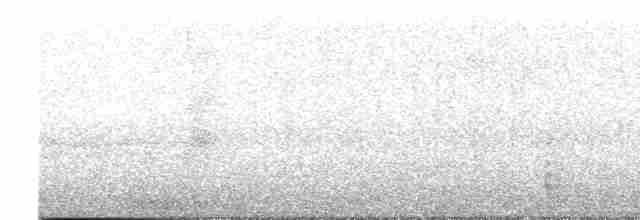 Чёрный крабоед (anthracinus/utilensis) - ML619164131