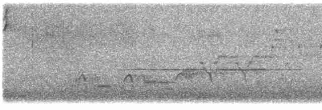 Дрізд-короткодзьоб Cвенсона - ML619164499