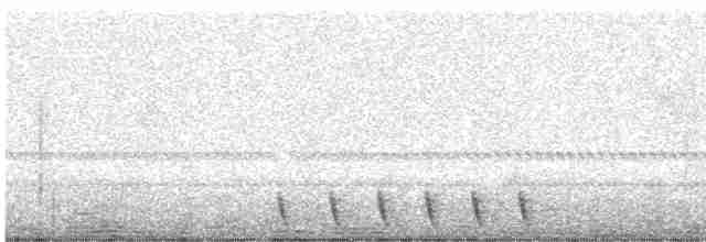 Gray Nightjar - ML619164694