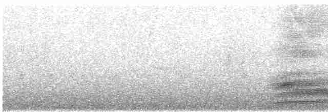 Гребенечуб андійський - ML619164881