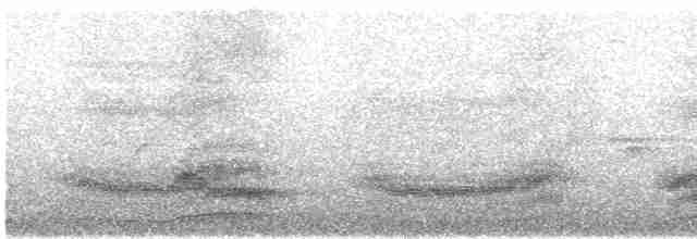 Андский скальный петушок - ML619164882