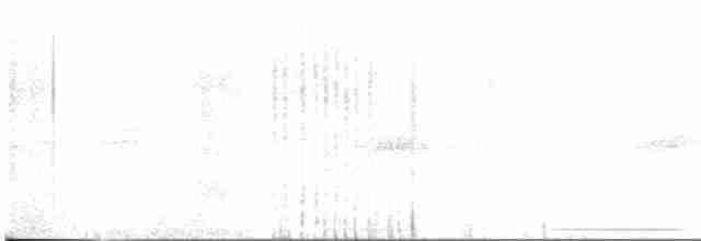 Горличка білолоба - ML619164888