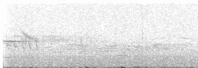 白斑紫嘯鶇 - ML619164945