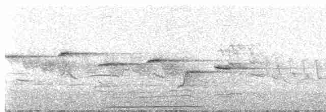 白斑紫嘯鶇 - ML619164948