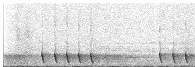 Gray Nightjar - ML619164982