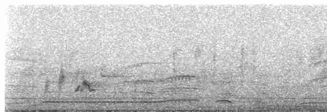 holub klínoocasý - ML619165086