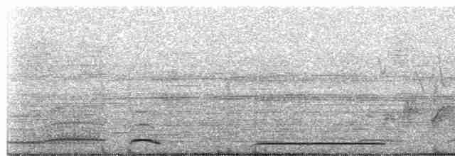Kama Kuyruklu Yeşil Güvercin - ML619165088