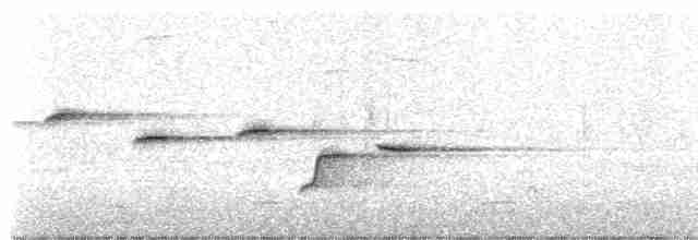 Белошейная веерохвостка - ML619165095