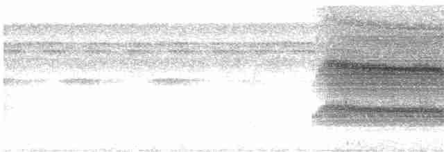 Серохохлая чубатка - ML619165115