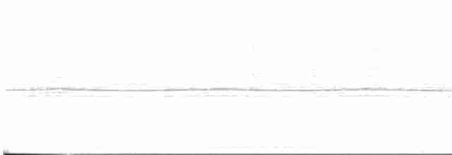 holub bledočelý - ML619165154